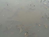 1493723153028