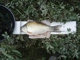 20171028_091704