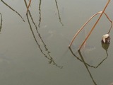 1493723088531