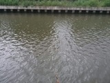 1474533770174