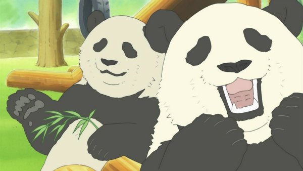 『しろくまカフェ』第13話