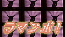 『しろくまカフェ』第31話…ペンギンさんペン子さん恋の結末！？ ヤマアラシがジャニーズ過ぎわろたｗｗｗ