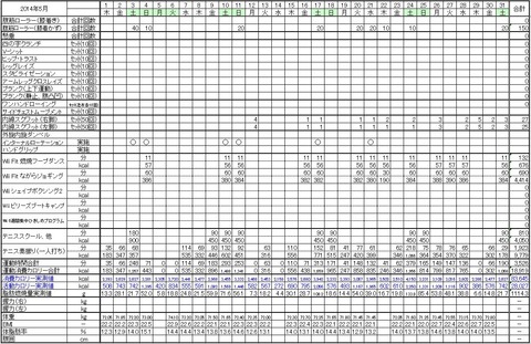 2014年5月の運動量