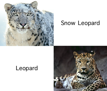 17)