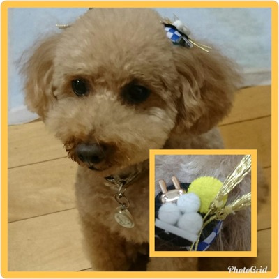 PhotoGrid_1535596289903