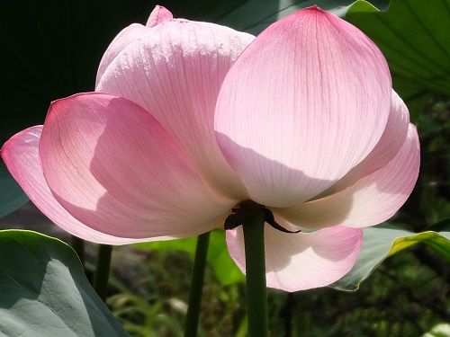 DSCF9571-1