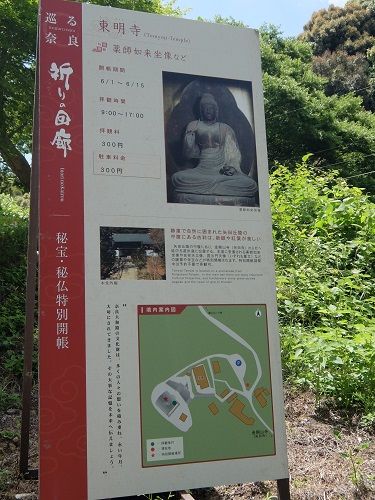 DSCF7047-1
