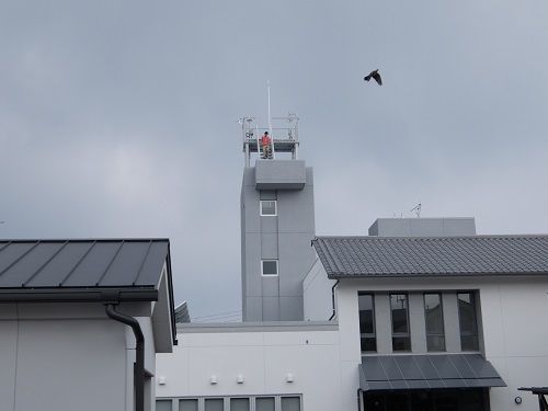 DSCF6929-1