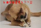 ¥Ð¥ó¥Ó¹¬