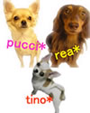 rea