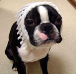 oreokun