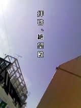 81ca61f5.jpg
