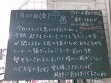 2012/1/20南行徳