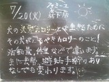 2010/07/20����