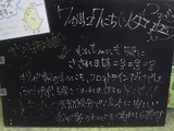 2010/07/27Ω��