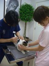 070829jiro5