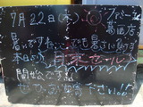 2010/7/22����