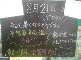 2010/8/21立石