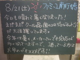 2010/8/21南行徳