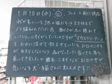 2012/1/18南行徳