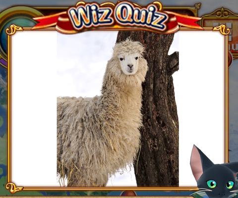 E-quiz22s