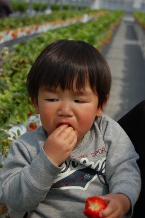 食前