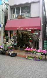 1db922a7.JPG