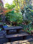 2008_1115fuji0002