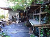 2008_1115fuji0003