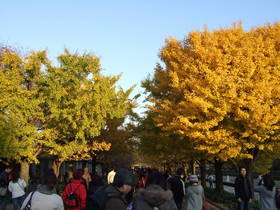 2008_1122fuji0021