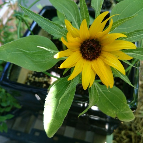 18-07-14-11-08-17-878_photo