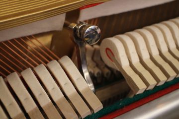 IMG_7623-360x240