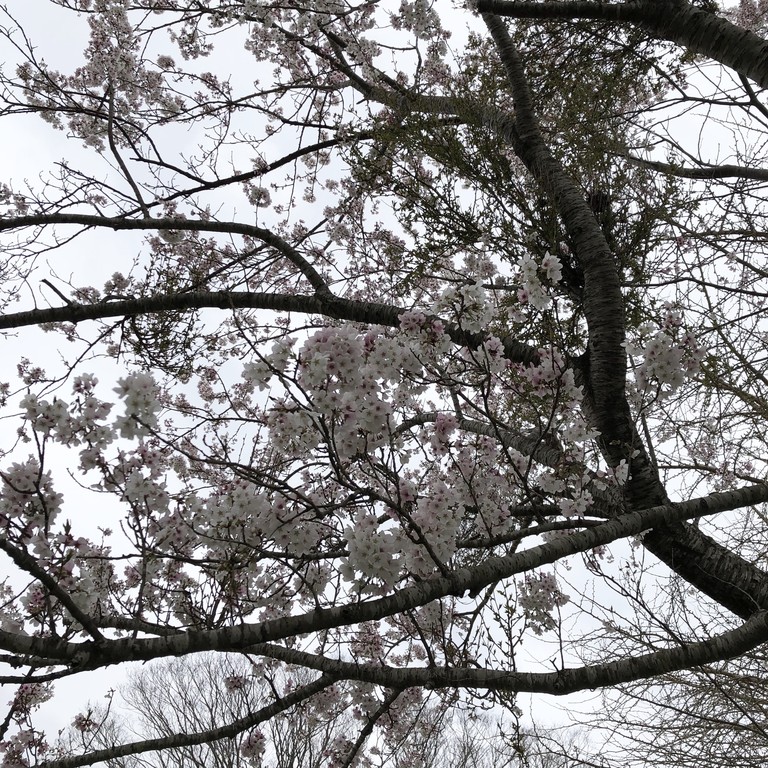 685793E8-0F19-4BDF-98B5-2B0C14886C97