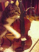 バイオリンのお稽古をする猫 Rust Cat バイオリン violin ネコ置物 ねこグッズ 猫雑貨 ギフト