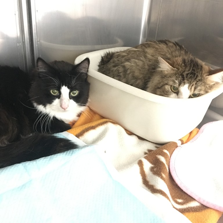 7CF72CA8-CC56-44FA-B811-A5D9AA7F3F5E