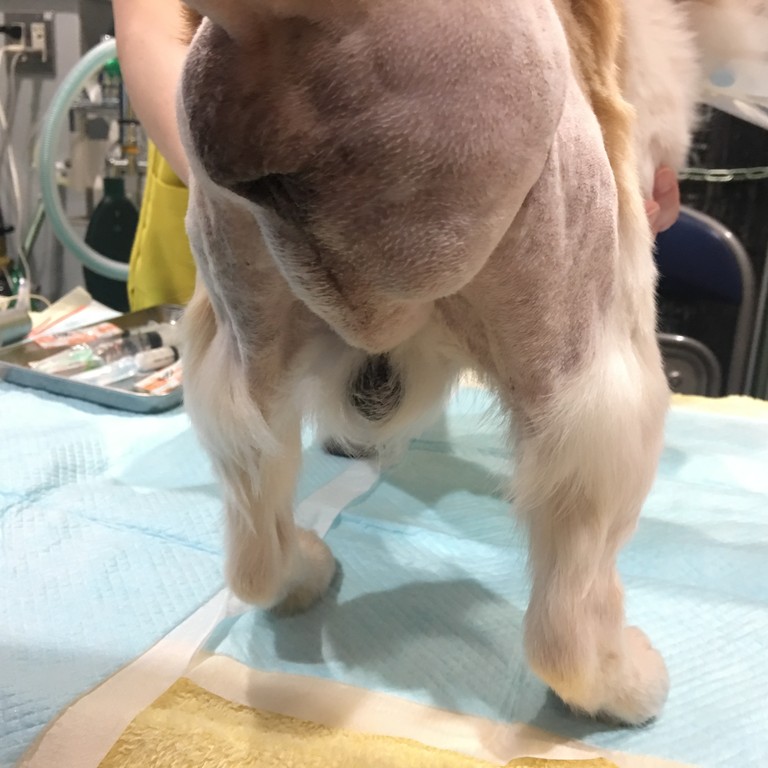 8FE1471D-6953-4D20-AA47-A743EC38EB5E