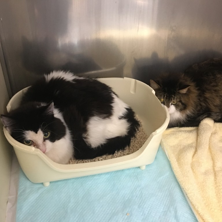 6C3CAD53-FC5B-4163-A07C-8FB8E762E3FC