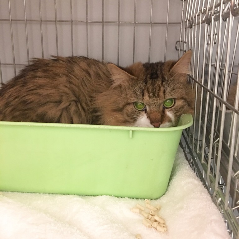 FEE6487A-2057-46F0-AA8E-023FBE96E7A3