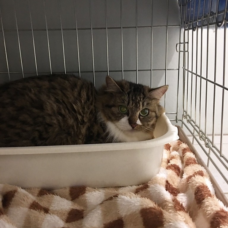 8EA5E0CA-ECC6-45DF-B48D-F39098E384DB