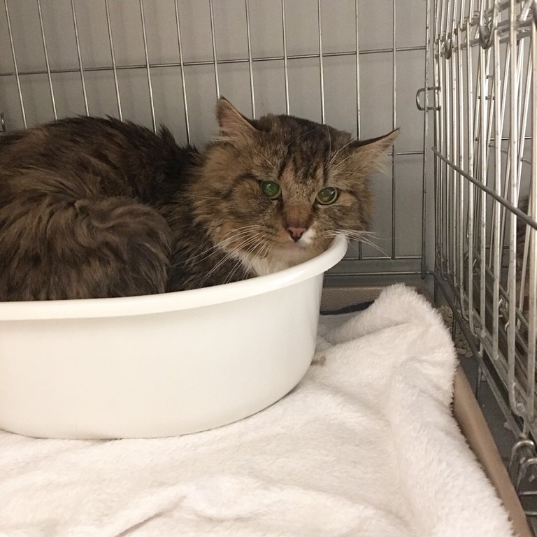 C40ACE33-68E8-453F-82F7-430ADDAC4D44