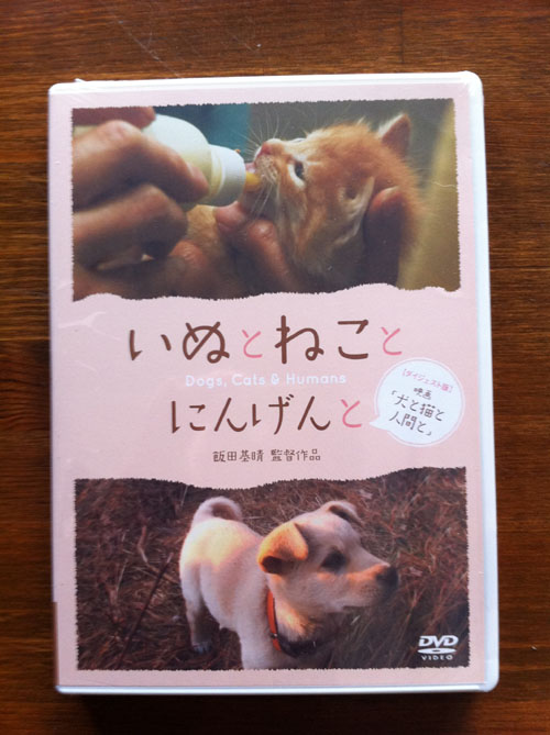 dvd