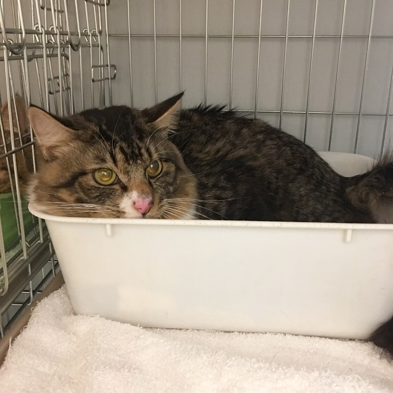 1F777EE9-C4FB-45F4-B692-434A38EA6163