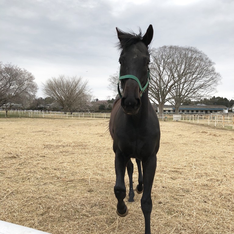 AD539AAD-FDB8-4AD4-AE9B-50F0DE7A2351