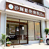 image11