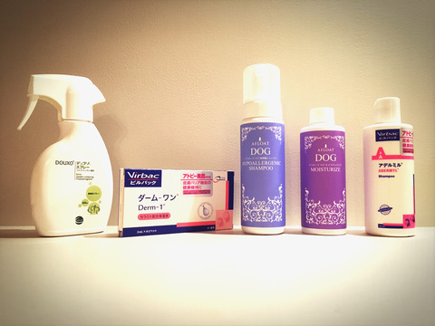 linecamera_shareimage 2