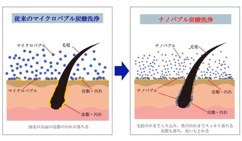 毛包