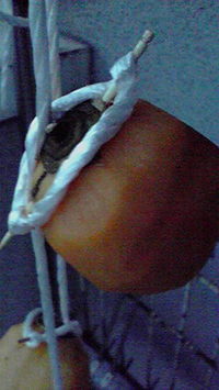 2009101306090000