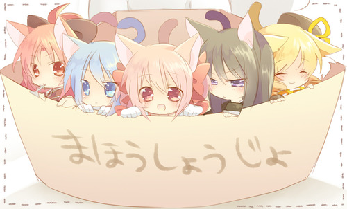 pfch09