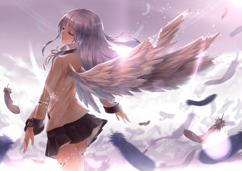 pfch01