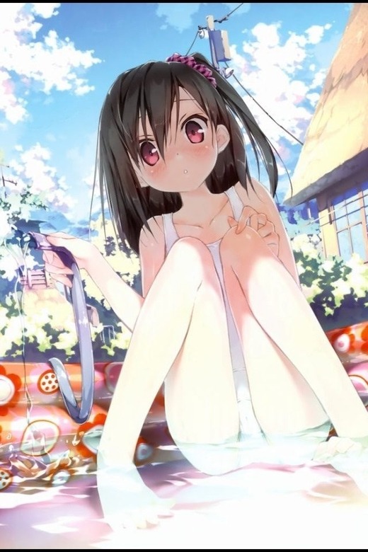 pfch11
